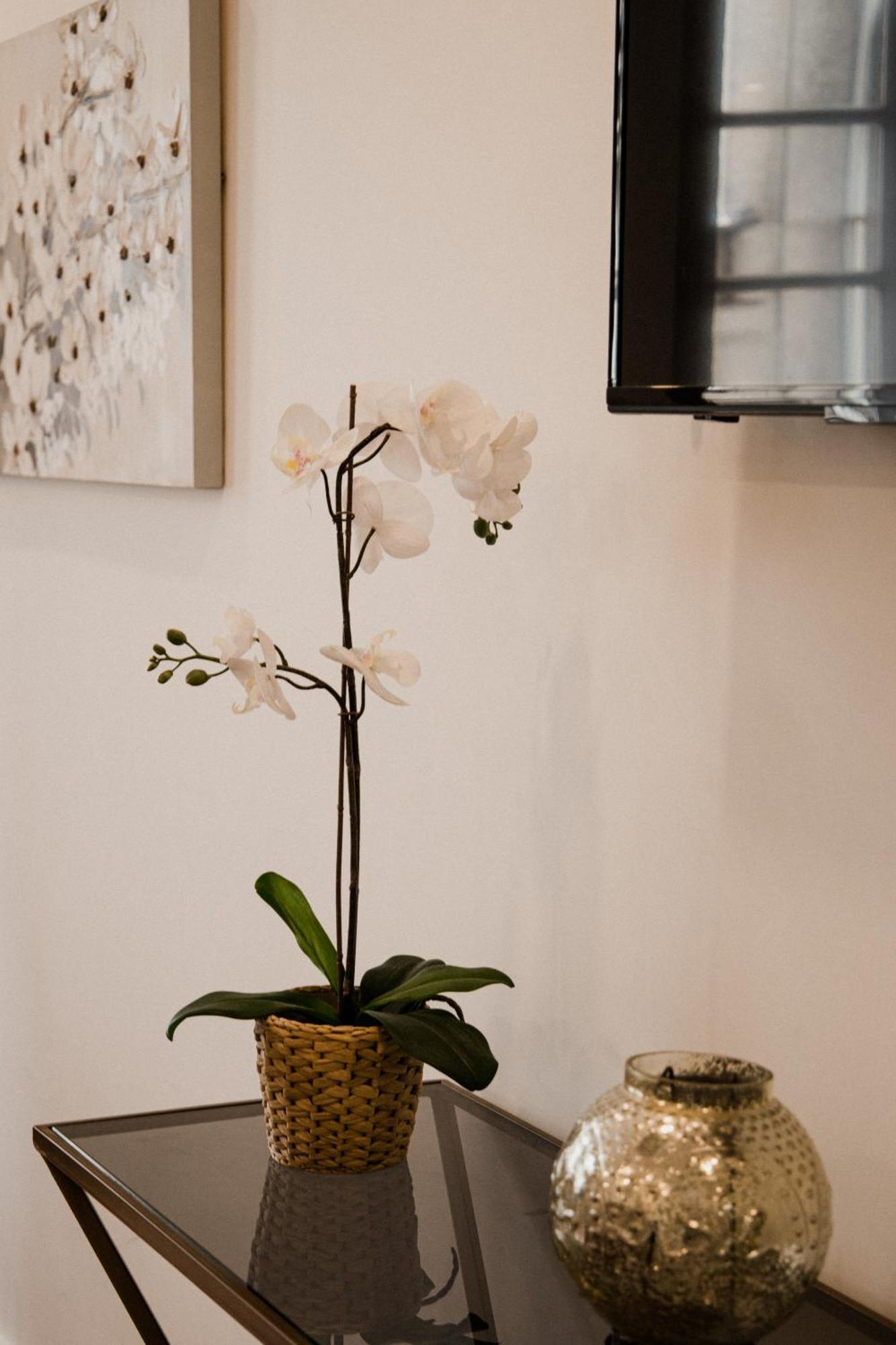 Bruval Premium Apartments - Se Porto Eksteriør billede